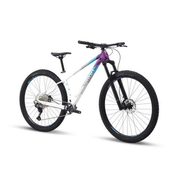 Polygon Xtrada 7 - Image 2