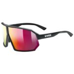 Uvex Sunglasses Sportstyle 237