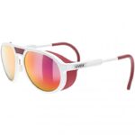 Uvex Sunglasses Mtn Classic P