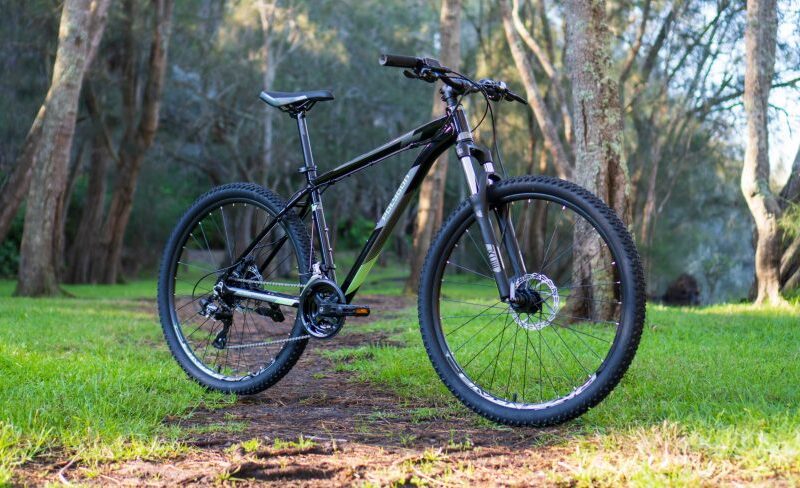 DSC07388-scaled-803x488 (2)