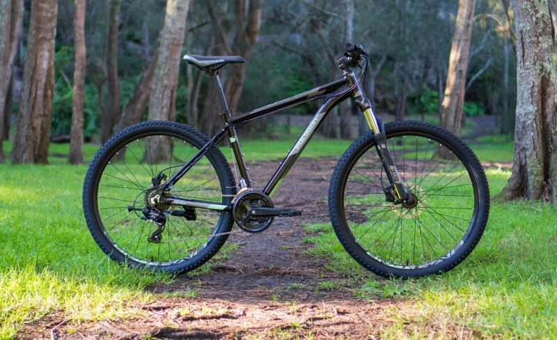 DSC07390-scaled-803x488 (2)