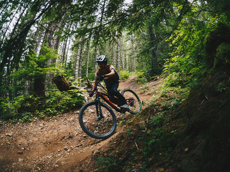 Polygon_Collosus_T_-_action_6 Polygon_Collosus_T_-_action_6