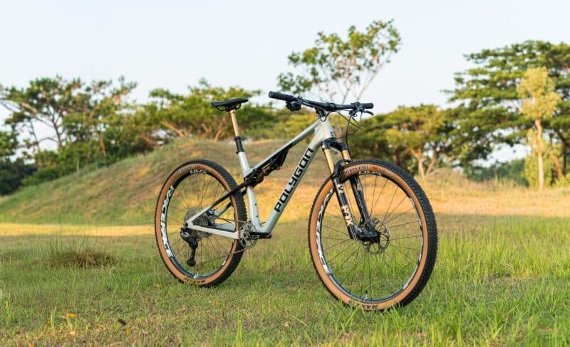 Syncline_DR-29-803x488 (1)