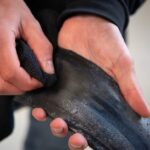 Dynamic Wipe Out 150ml - Image 3