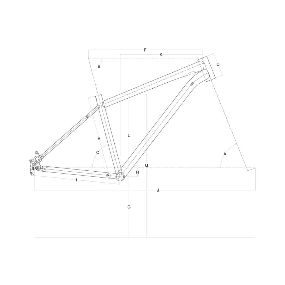 polygon (2)