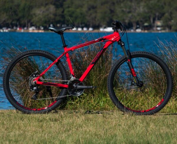 DSC07535-scaled-803x488 DSC07535-scaled-803x488