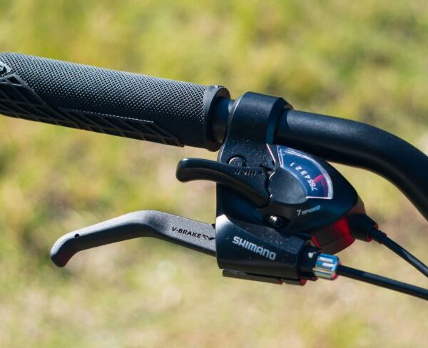 DSC07540-scaled-803x488 DSC07540-scaled-803x488