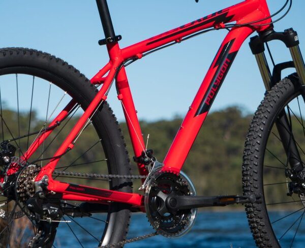 DSC07545-scaled-803x488 DSC07545-scaled-803x488