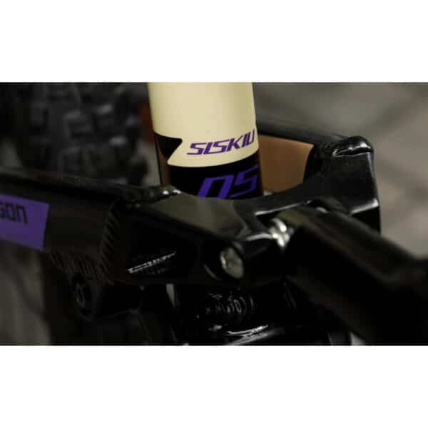 SR Suntour Raidon LO air shock and Siskiu D5 seat tube graphics on the Polygon Siskiu D5 mountain bike