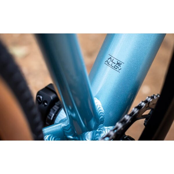 ALX alloy frame detail on the Polygon Heist 5