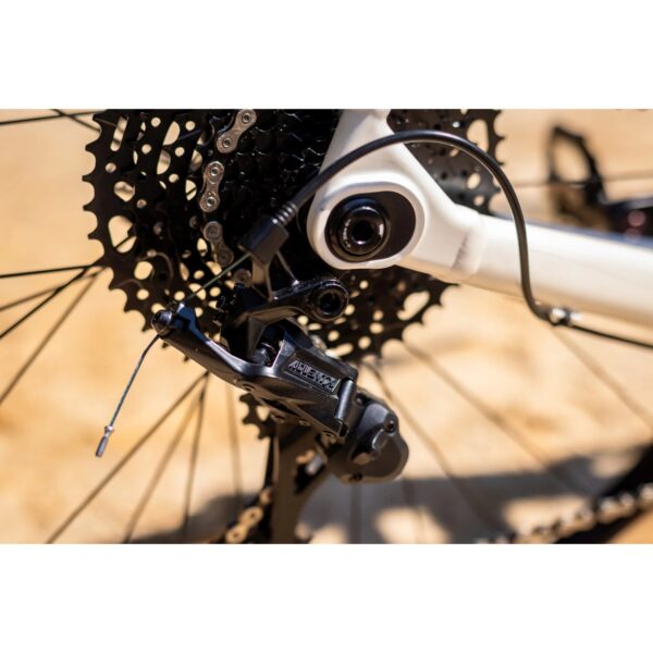 Microshift Advent X 10-speed rear derailleur and 11–48T cassette on the Polygon Tambora G4