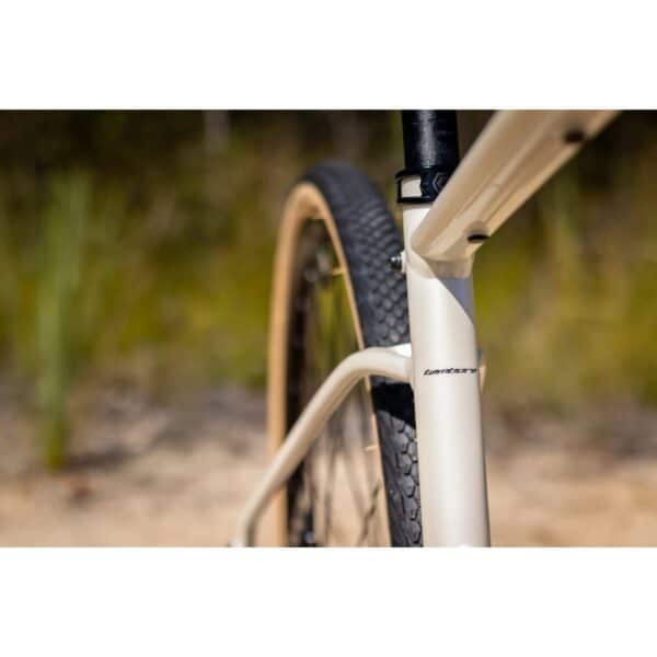 Seat stay and Vee Tire Rail Frenzy 700x40 tyre showing clearance on the Polygon Tambora G4
