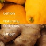 Lemon and ginger, the main flavours of the Veloforte Zenzero energy bar